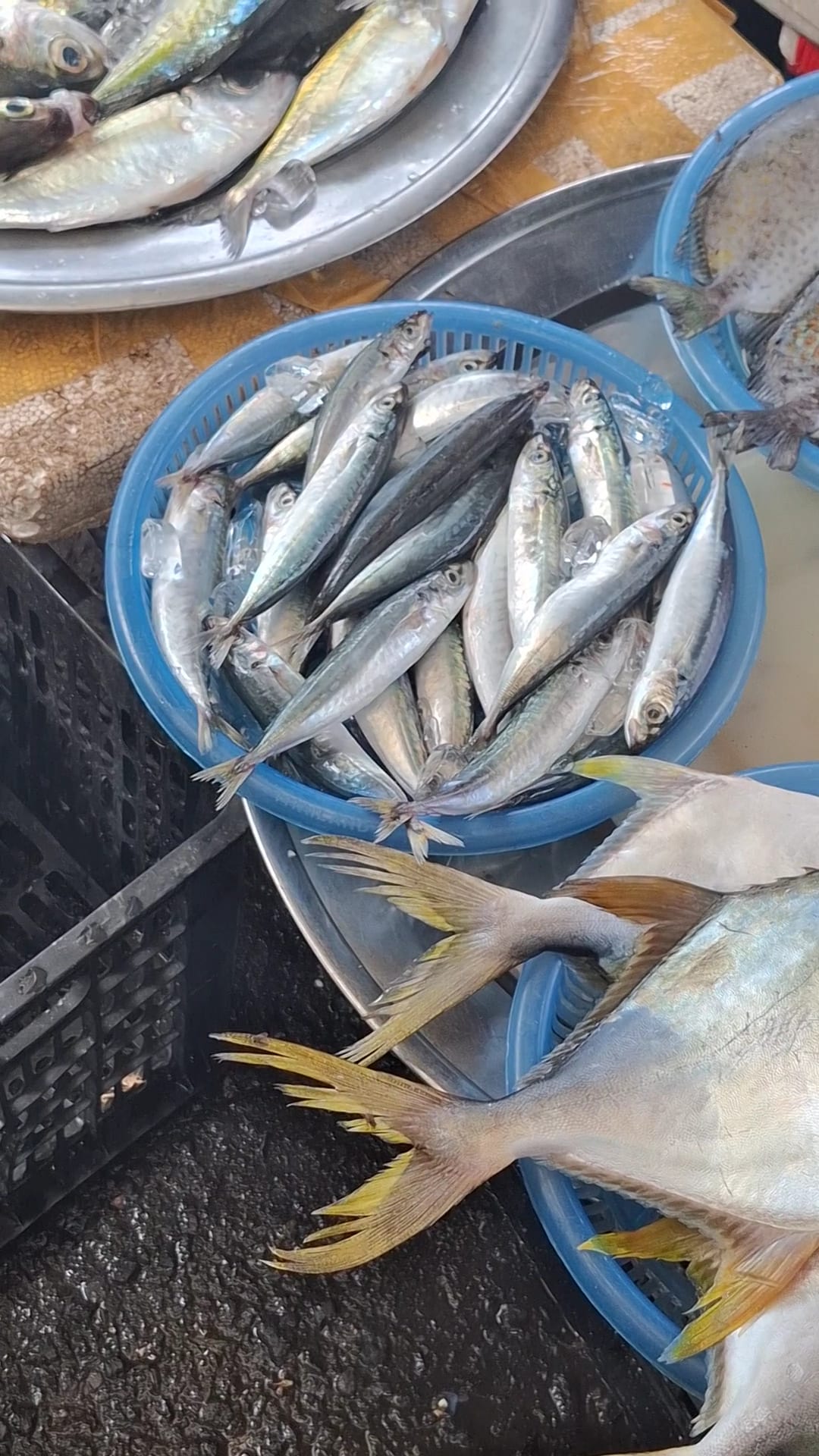 Hải sản tươi sống tại chợ cá địa phương